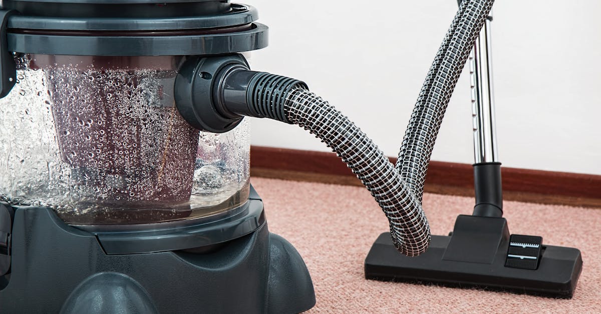 Carpet Cleaning